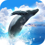 icon RealWhales