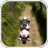 icon Dirt Bike Adventure 1.3.2