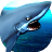 icon Angry Shark 1.0.4