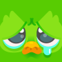 icon Duolingo: Language Lessons für HiSense H20