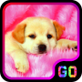 icon Puppies Live Wallpaper