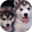 icon Puppies dogs live wallpaper 4.0