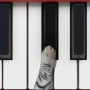 icon Cat Piano
