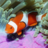 icon Underwater Jigsaw Puzzles 2.11.00