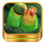 icon Birdss Ringtones