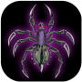 icon Spider