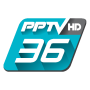 icon PPTVHD36 für Samsung Galaxy Ace Plus S7500