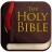 icon Holy Bible 80