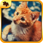 icon Cat Puzzles - Jigsaw für sharp Aquos 507SH