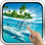icon Magic Touch: Dolphins