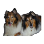 icon Dog Training für symphony Z9