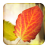 icon Falling Leaves Freemium 3.2