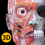 icon Anatomy 3D Atlas für Huawei P20 Lite