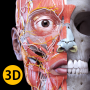 icon Anatomy 3D Atlas für Motorola Moto Z2 Play