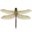 icon Dragonfly 1.30