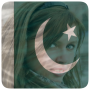 icon Flag of Pakistan