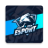 icon Esport Logo 0.0019