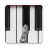 icon Cat Piano 4.1