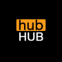 icon hub VPN für Haier Terra T54P