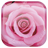 icon Rose 1.1.0