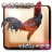 icon com.pooandplay.chickenfighterindonesia 3.0