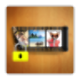 icon Video Locker