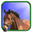 icon Horse Live Wallpaper 7.0